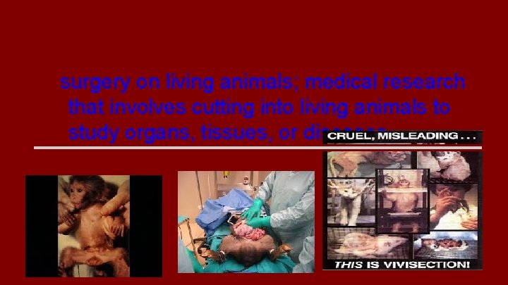 vivisection surgery on living animals; medical research that involves cutting into living animals to