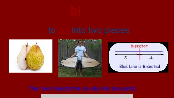 bisect to cut into two pieces The river bisects the county into two parts.