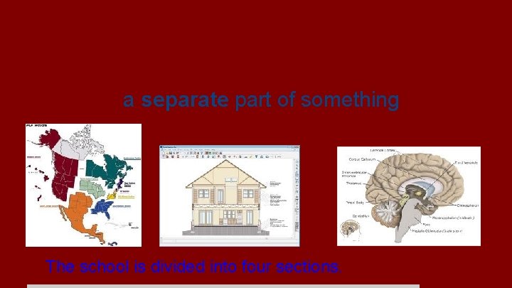 section (Sect--to cut or separate/ tion--the result of) a separate part of something The