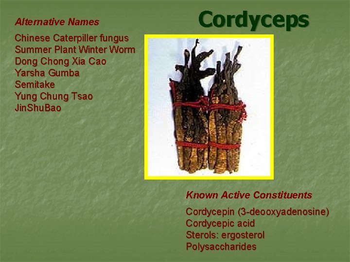 Alternative Names Cordyceps Chinese Caterpiller fungus Summer Plant Winter Worm Dong Chong Xia Cao