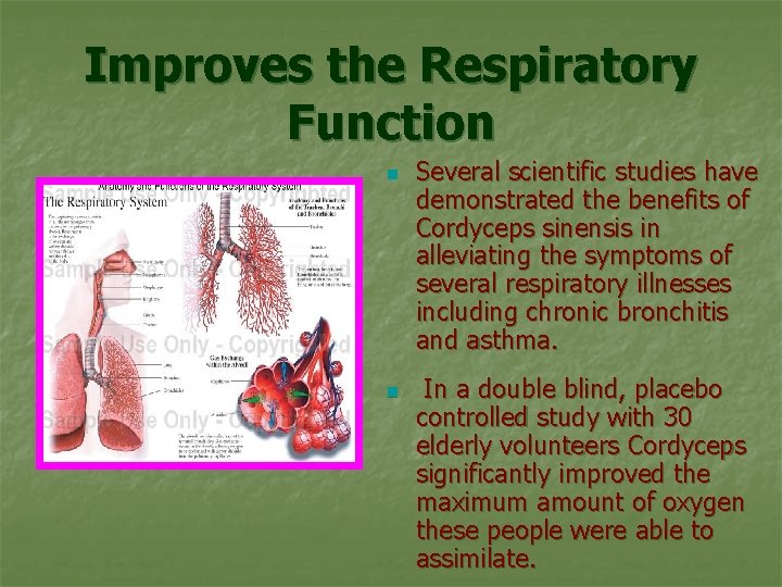 Improves the Respiratory Function n n Several scientific studies have demonstrated the benefits of