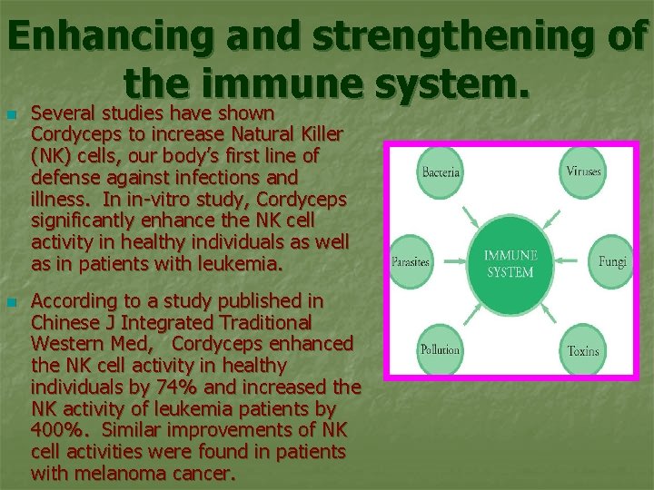 Enhancing and strengthening of the immune system. n n Several studies have shown Cordyceps
