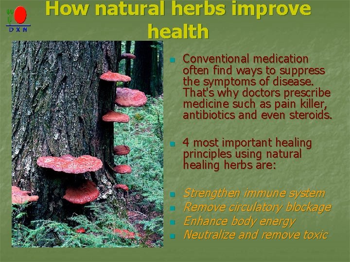How natural herbs improve health n n n Conventional medication often find ways to