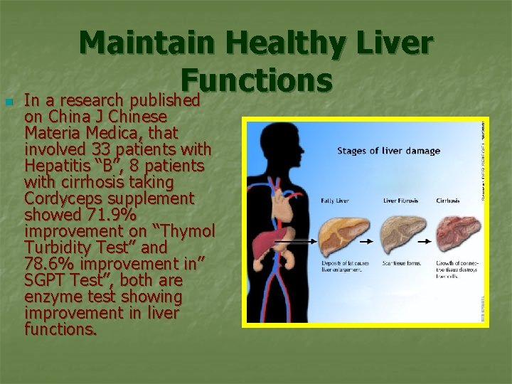 n Maintain Healthy Liver Functions In a research published on China J Chinese Materia