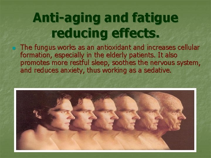 Anti-aging and fatigue reducing effects. n The fungus works as an antioxidant and increases