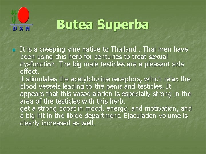 Butea Superba n It is a creeping vine native to Thailand. Thai men have