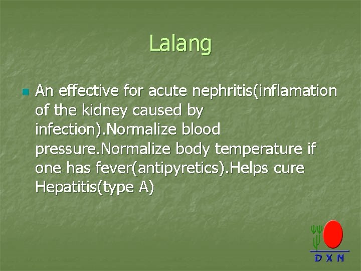 Lalang n An effective for acute nephritis(inflamation of the kidney caused by infection). Normalize