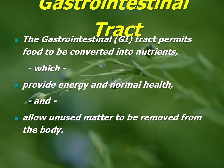 n Gastrointestinal Tract The Gastrointestinal (GI) tract permits food to be converted into nutrients,