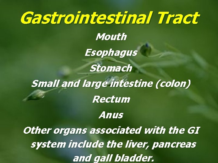 Gastrointestinal Tract Mouth Esophagus Stomach Small and large intestine (colon) Rectum Anus Other organs