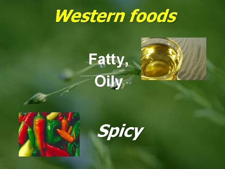 Western foods Fatty, Oily Spicy 