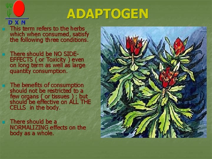ADAPTOGEN n n This term refers to the herbs which when consumed, satisfy the