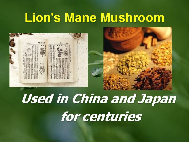 Lion's Mane Mushroom Used in China and Japan for centuries 
