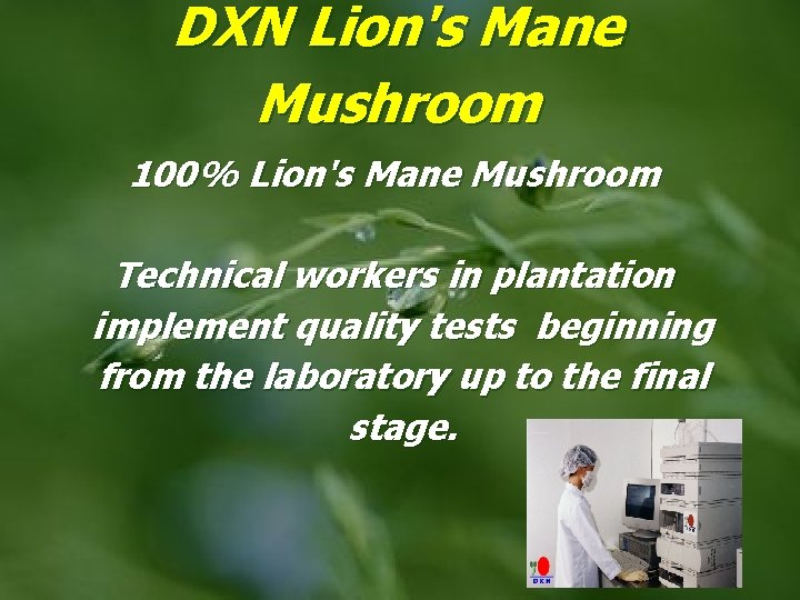 DXN Lion's Mane Mushroom 100% Lion's Mane Mushroom Technical workers in plantation implement quality
