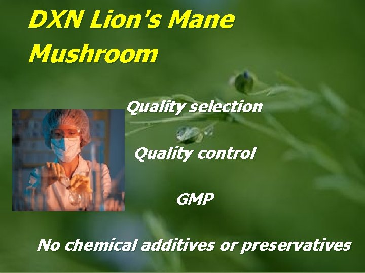 DXN Lion's Mane Mushroom Quality selection Quality control GMP No chemical additives or preservatives