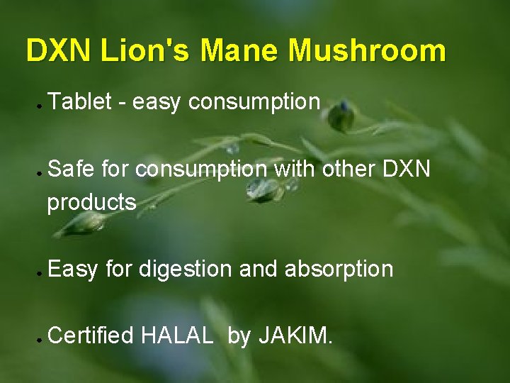 DXN Lion's Mane Mushroom ● ● Tablet - easy consumption Safe for consumption with