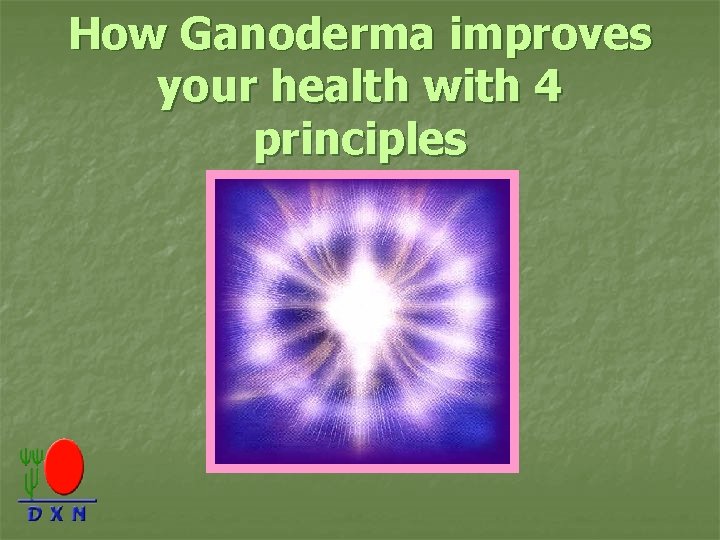 How Ganoderma improves your health with 4 principles 