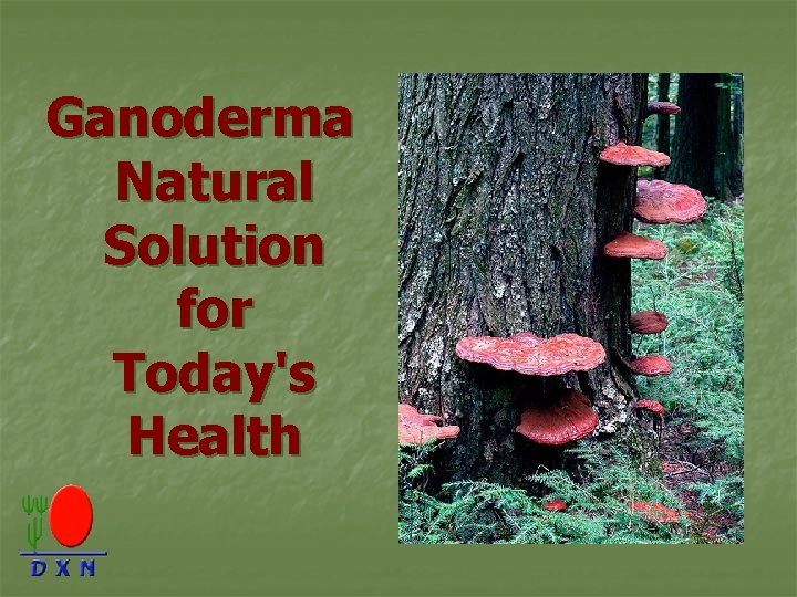 Ganoderma Natural Solution for Today's Health 
