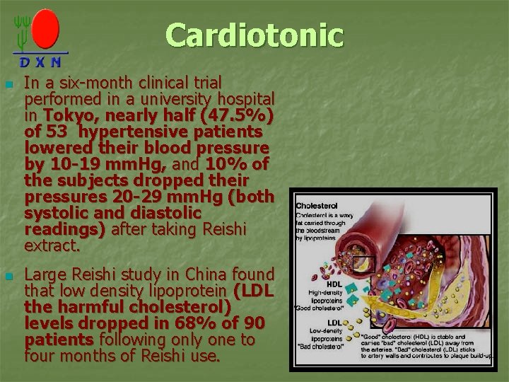 Cardiotonic n n In a six-month clinical trial performed in a university hospital in