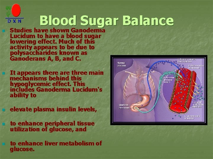 Blood Sugar Balance n n Studies have shown Ganoderma Lucidum to have a blood
