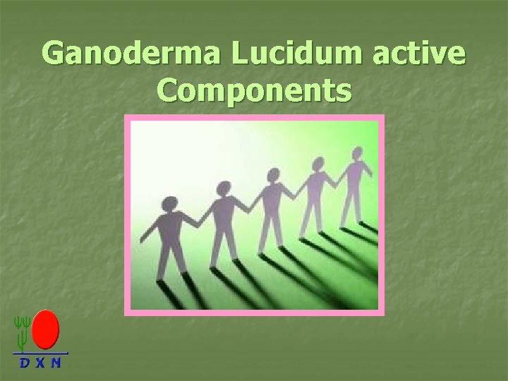 Ganoderma Lucidum active Components 
