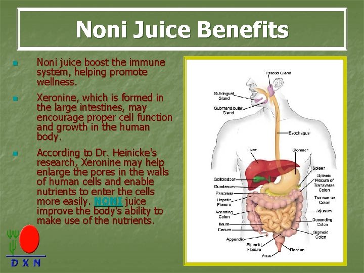 Noni Juice Benefits n n n Noni juice boost the immune system, helping promote