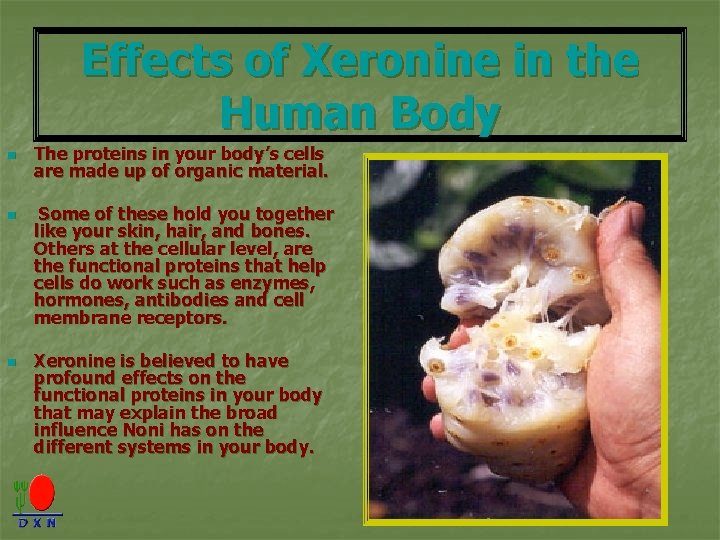 Effects of Xeronine in the Human Body n n n The proteins in your