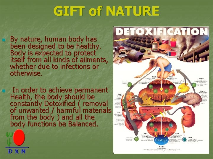 GIFT of NATURE n n By nature, human body has been designed to be
