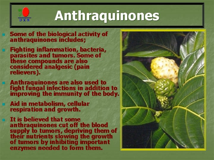 Anthraquinones n n n Some of the biological activity of anthraquinones includes; Fighting inflammation,