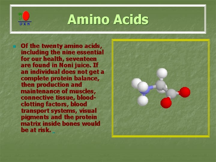 Amino Acids n Of the twenty amino acids, including the nine essential for our