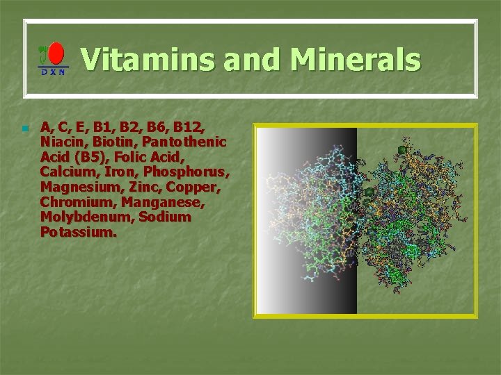Vitamins and Minerals n A, C, E, B 1, B 2, B 6, B
