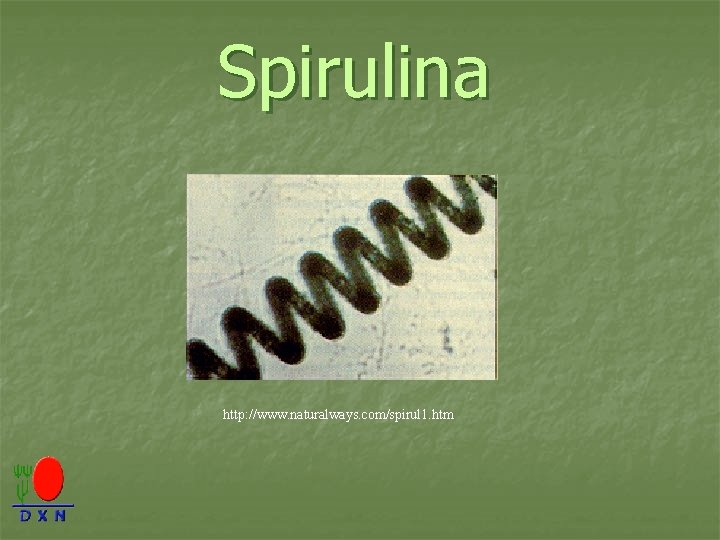 Spirulina http: //www. naturalways. com/spirul 1. htm 