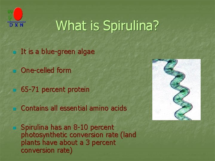 What is Spirulina? n It is a blue-green algae n One-celled form n 65