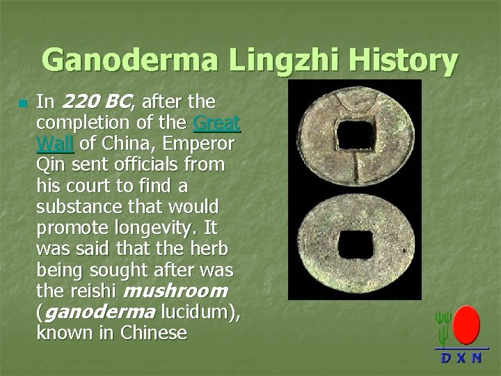Ganoderma Lingzhi History n In 220 BC, after the completion of the Great Wall