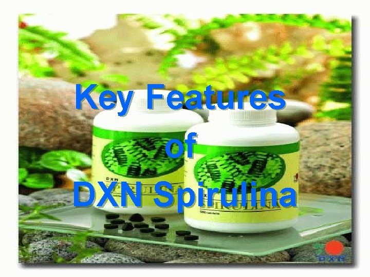 Key Features of DXN Spirulina 