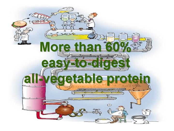 More than 60% easy-to-digest all-vegetable protein 