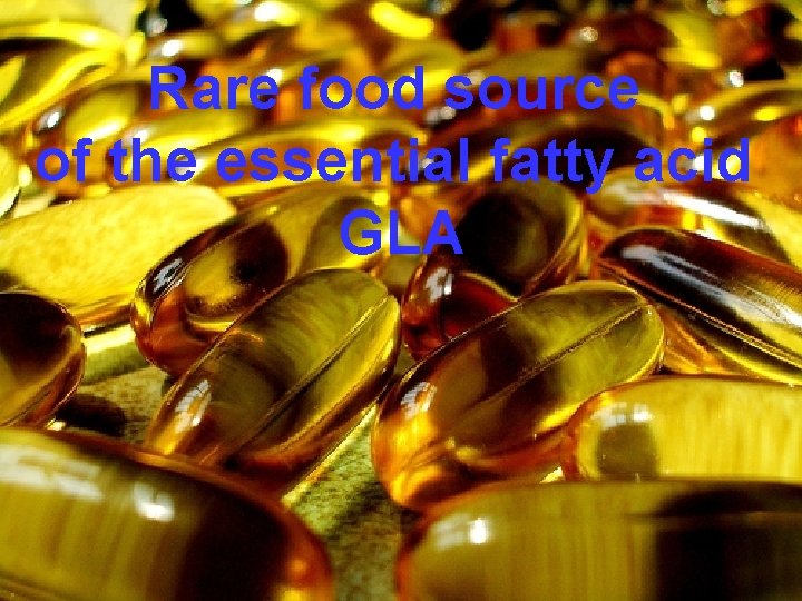 Rare food source of the essential fatty acid GLA 