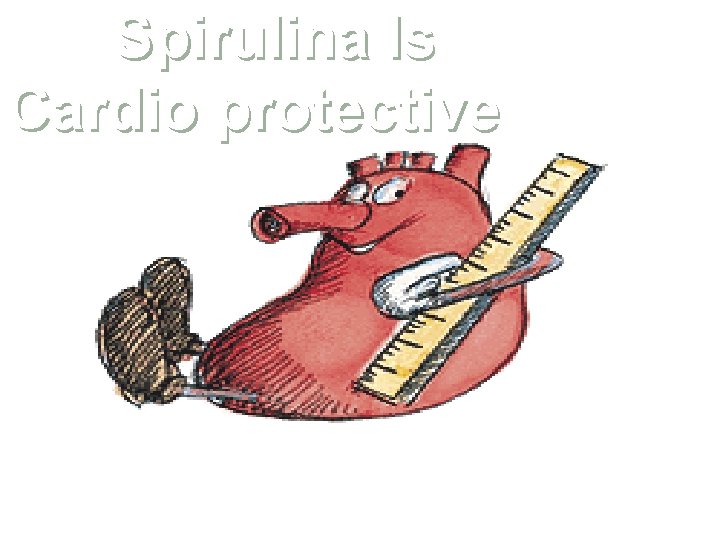 Spirulina Is Cardio protective 