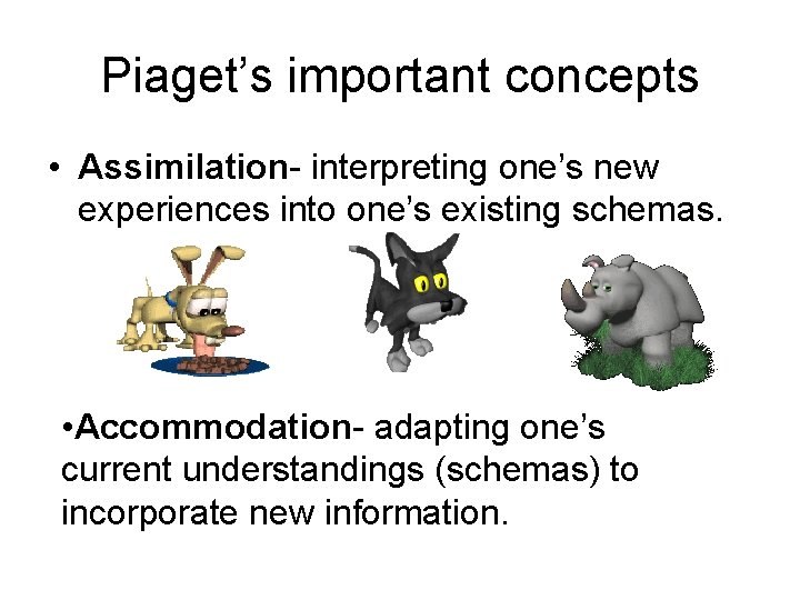 Piaget’s important concepts • Assimilation- interpreting one’s new experiences into one’s existing schemas. •