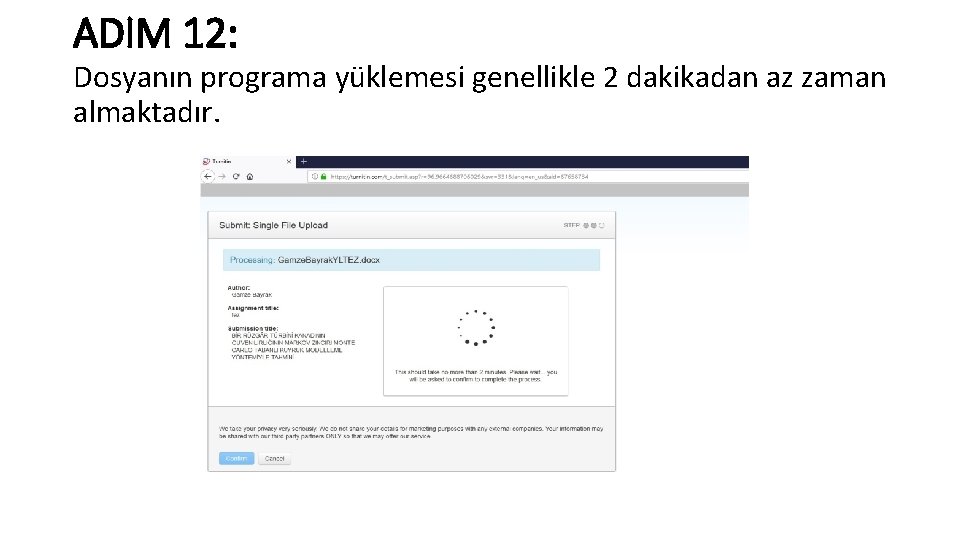 ADIM 12: Dosyanın programa yüklemesi genellikle 2 dakikadan az zaman almaktadır. 