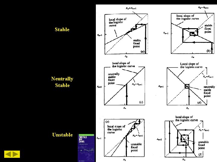 Stable Neutrally Stable Unstable 