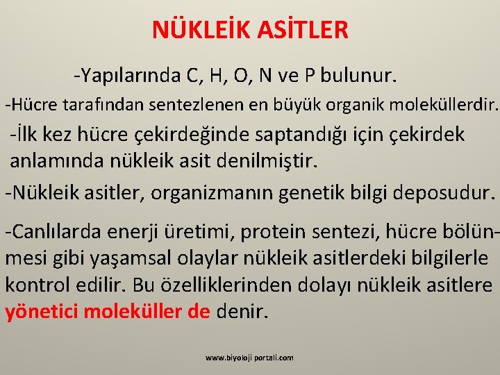 NÜKLEİK ASİTLER -Yapılarında C, H, O, N ve P bulunur. -Hücre tarafından sentezlenen en