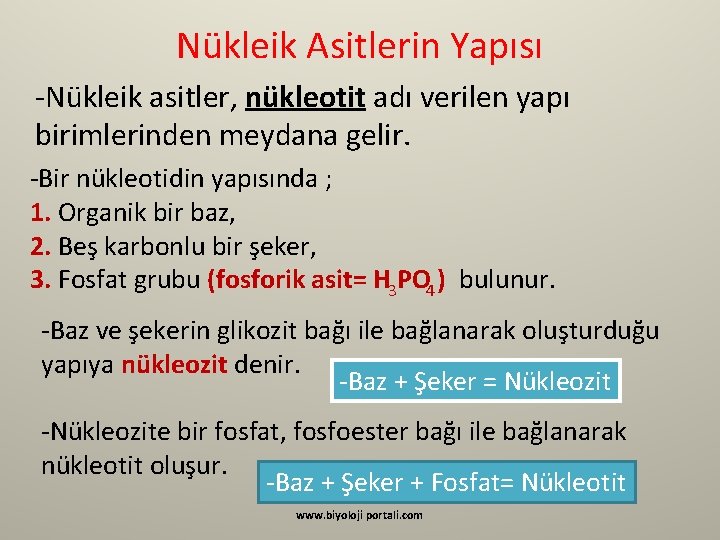 Nükleik Asitlerin Yapısı -Nükleik asitler, nükleotit adı verilen yapı birimlerinden meydana gelir. -Bir nükleotidin