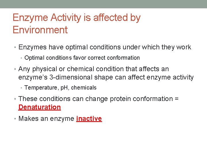 Enzyme Activity is affected by Environment • Enzymes have optimal conditions under which they