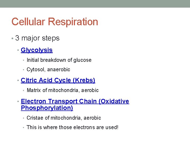 Cellular Respiration • 3 major steps • Glycolysis • Initial breakdown of glucose •