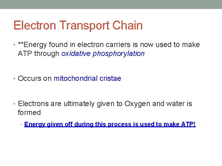 Electron Transport Chain • **Energy found in electron carriers is now used to make