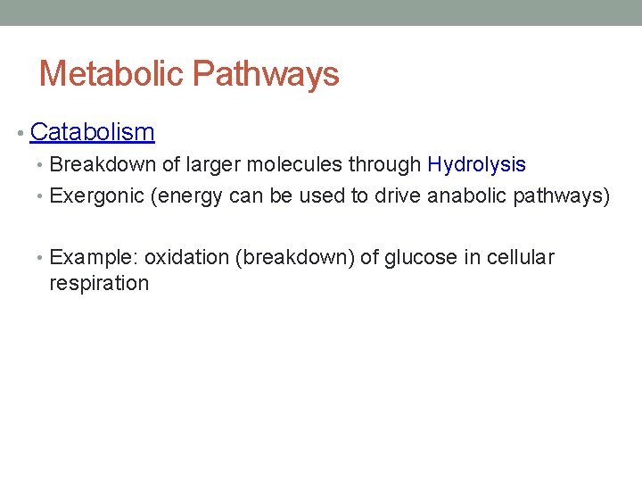 Metabolic Pathways • Catabolism • Breakdown of larger molecules through Hydrolysis • Exergonic (energy