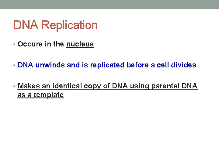 DNA Replication • Occurs in the nucleus • DNA unwinds and is replicated before