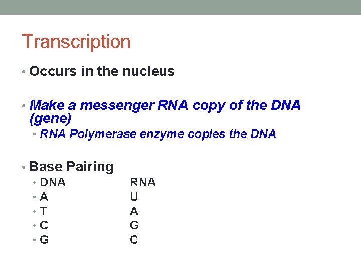Transcription • Occurs in the nucleus • Make a messenger RNA copy of the