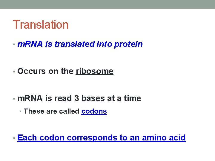 Translation • m. RNA is translated into protein • Occurs on the ribosome •