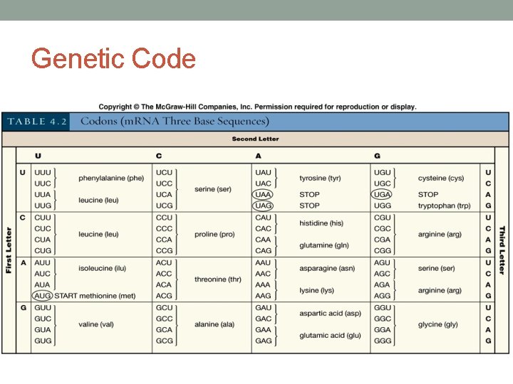 Genetic Code 